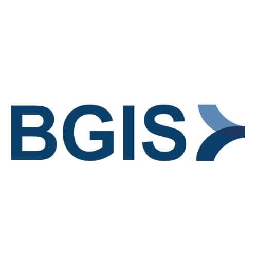 BGIS logo