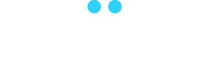 Driivz logo white and blue